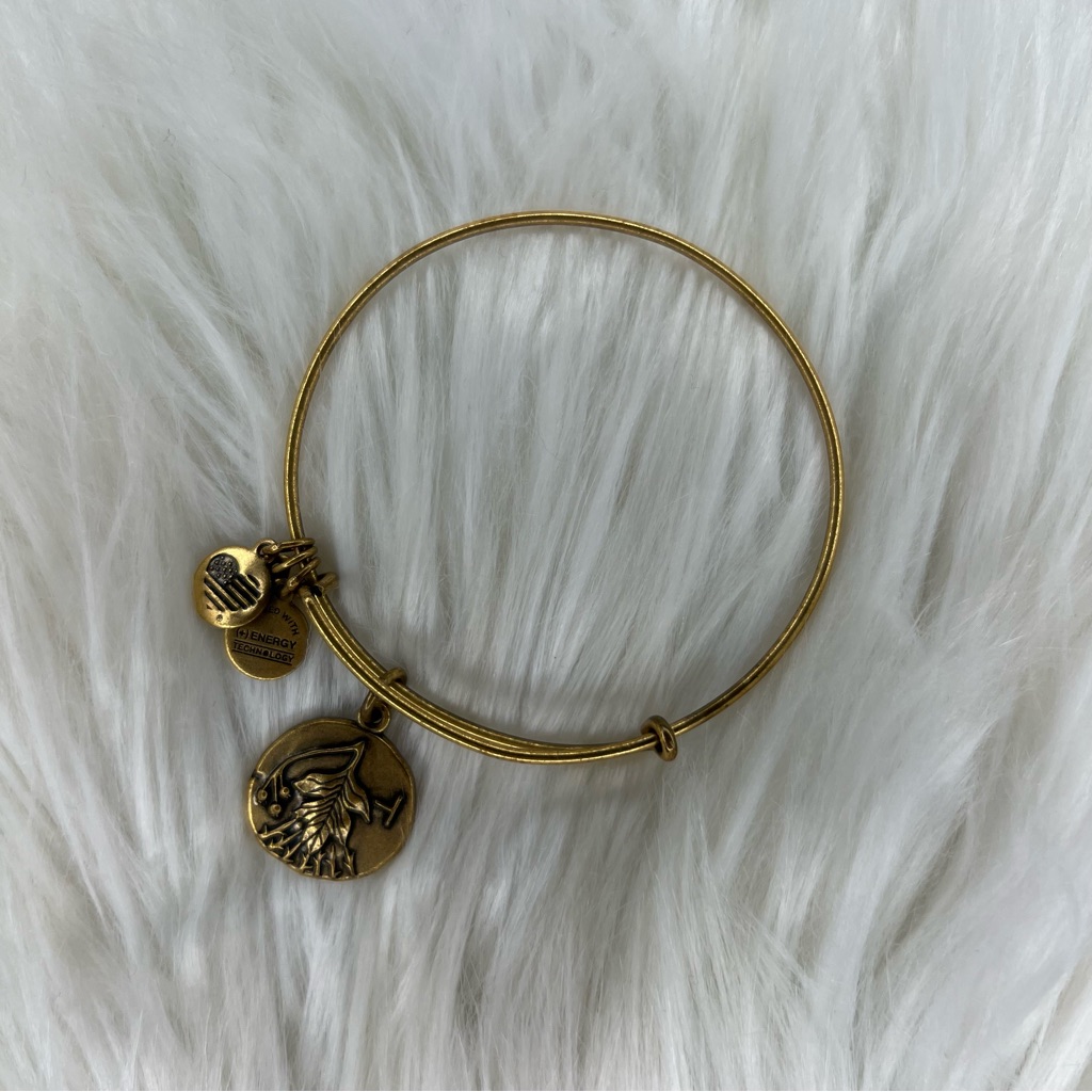 Alex And Ani Rafaelian Gold Hawthorn Charm Bangle Bracelet